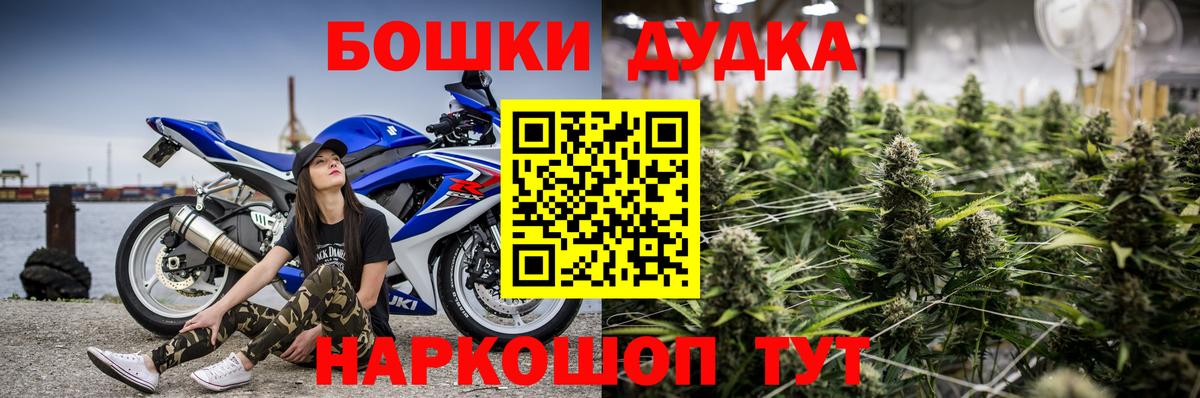 Бошки марихуана план Новоалександровск
